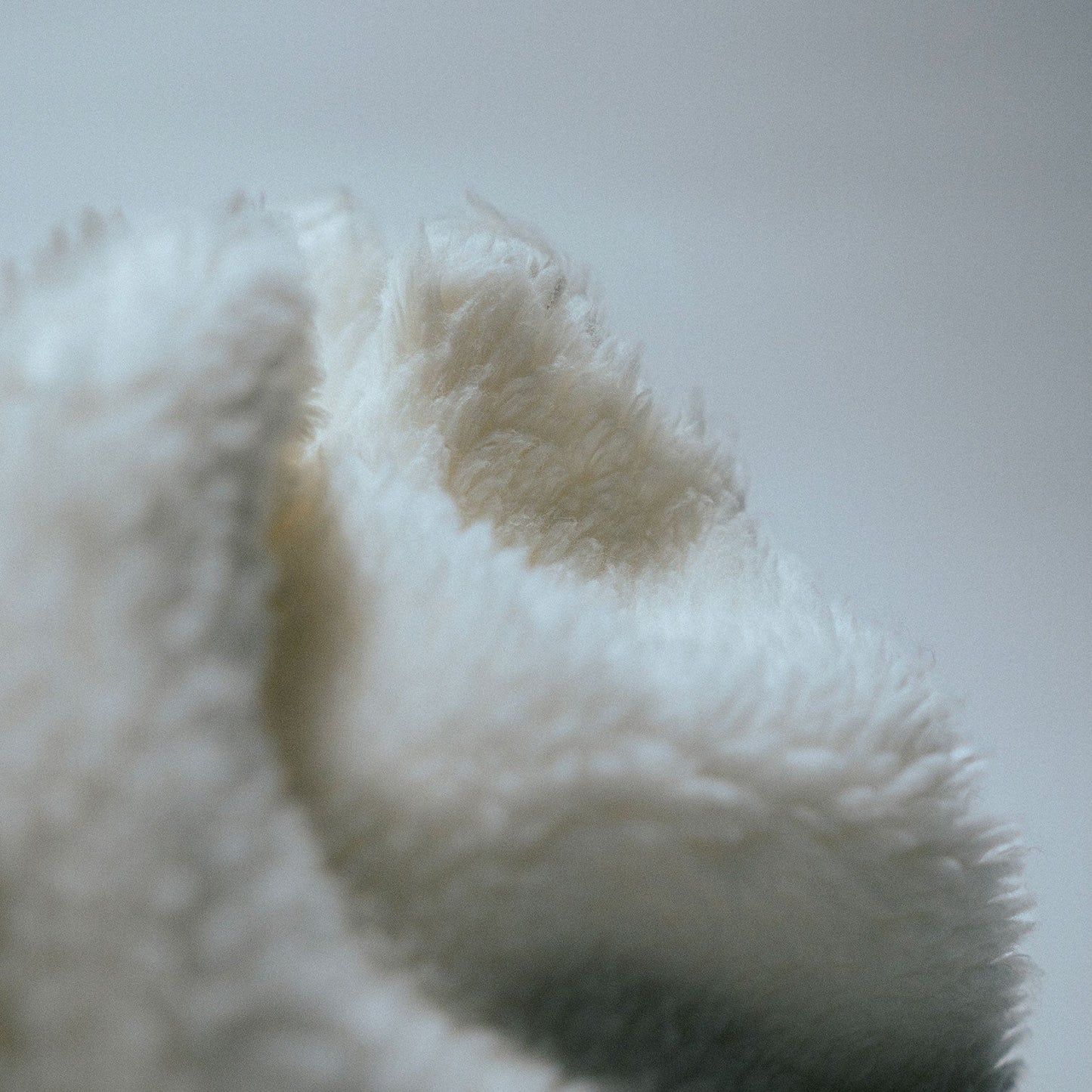 Fluffy Beanie